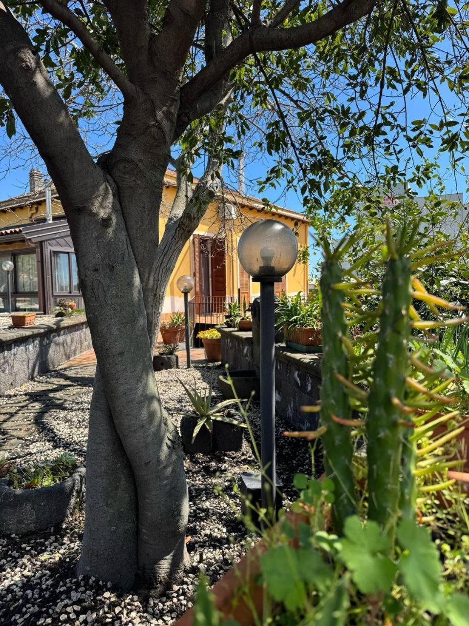 Zest House Bed & Breakfast Santa Venerina Exterior photo